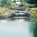 pond1