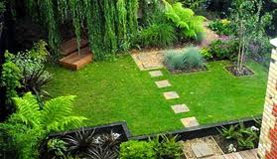 Transform Your Yard Into A Paradise!